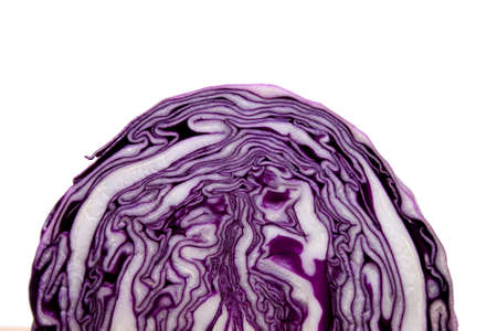 Fresh Red Cabbage  on white background の写真素材