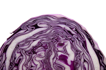 Fresh Red Cabbage  on white background の写真素材