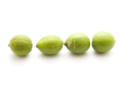 Fresh Green Lemon の写真素材