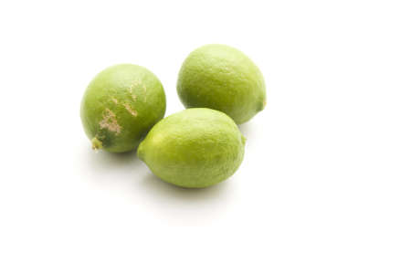 Fresh Green Lemon の写真素材