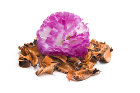 Potpourri with Flower on white background の写真素材
