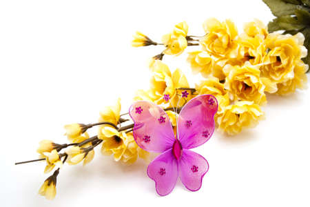 Yellow Flower with Butterfly の写真素材