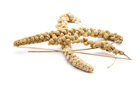 Birds millet on white background の写真素材
