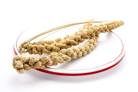 Birds millet on plastic plate の写真素材