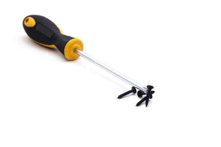  Screwdriver with black wooden screws の写真素材