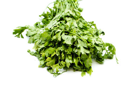 Fresh Green Parsley on white backgroundの写真素材