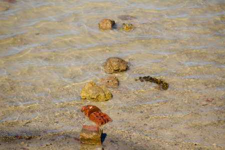 Stones in the Ocean の写真素材