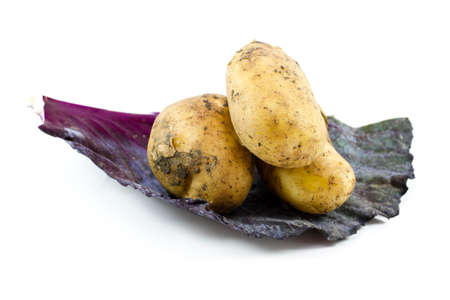 Fresh  Brown Potatoes in Cabbage Sheetの写真素材