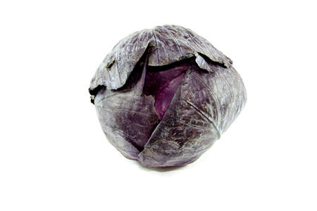 Fresh Red Cabbage の写真素材