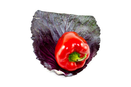 Fresh Red Cabbage Sheet with Red Capsicum の写真素材
