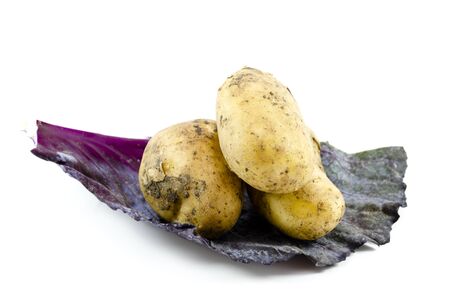 Fresh Potaotes with Red Cabbage Sheet on white backgroundの写真素材