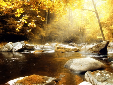 Autumn Creek in the Morningの写真素材