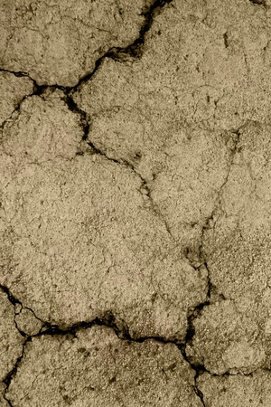 Cracked Textureの写真素材