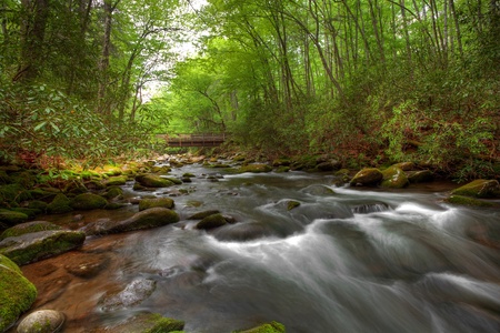 Stream going through the forest with bridgeの写真素材