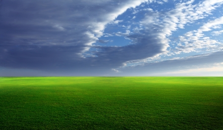 Grassy meadow with lush green grass and blue skies の写真素材