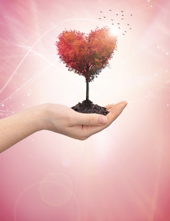 Woman's hand holding a tree in the shape of a heartの写真素材