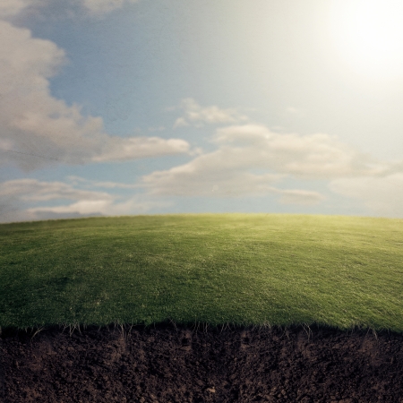 Grass and dirtの写真素材