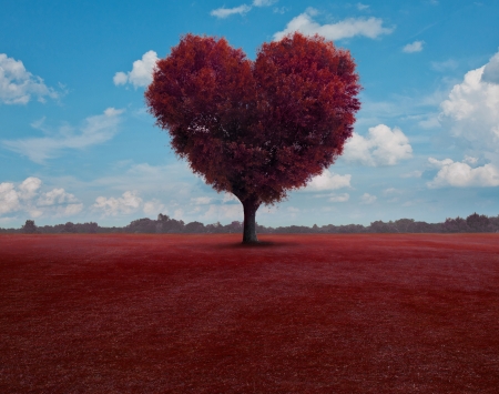 Heart shaped tree with leaves flying around.の写真素材