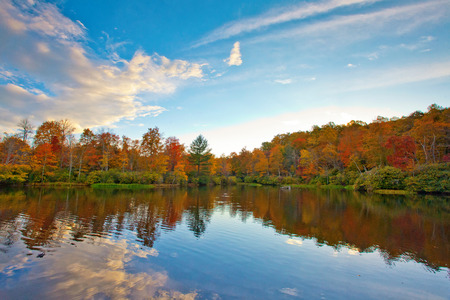 Colorful trees line the banks of a still pondの写真素材
