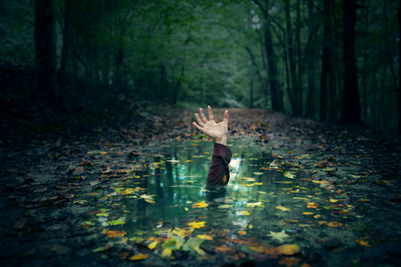 A hand reaching out of a puddle in the forest.の写真素材