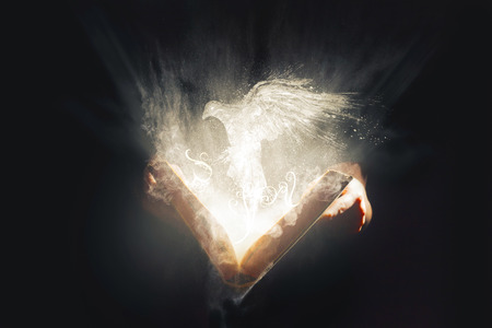 An open Bible reveals a bright glowing white doveの写真素材