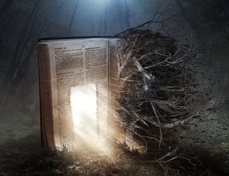 An open Bible with a glowing door and decaying rootsの写真素材