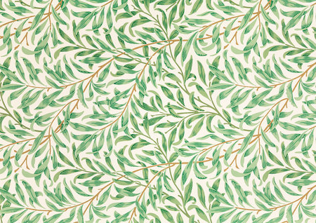 Eucalyptus leaves seamless pattern. Floral vector backgroundの写真素材