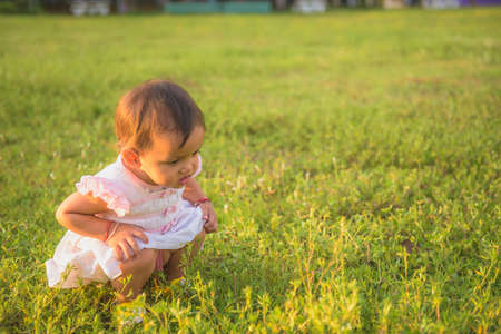 A little girl in the lawn looks at the spider closely at sunset. young naturalist Concept of observing nature of children.の写真素材