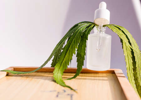marijuana,Concept of natural cosmetics and medicines.の写真素材