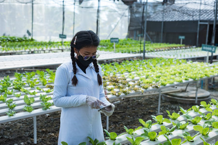 woman farmer hands working on organic hydroponics vegetable farm Owner of a hydroponics vegetable...
