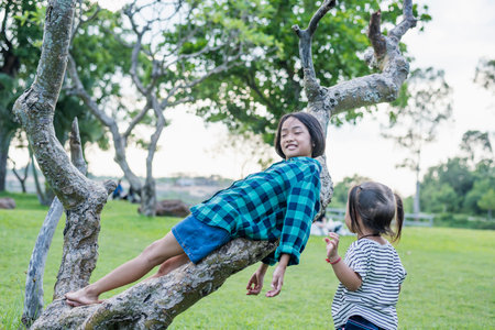 Southeast Asian little girl climbing a tree to explore nature Happy children playing in the park Playful children having fun in the forest in summer.の写真素材