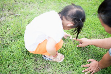 Cute Asian little girl sits on the grass in the park playing with mom.の写真素材