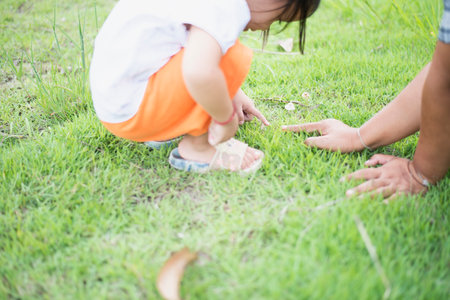 Cute Asian little girl sits on the grass in the park playing with mom.の写真素材