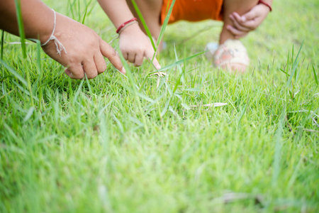 Cute Asian little girl sits on the grass in the park playing with mom.の写真素材