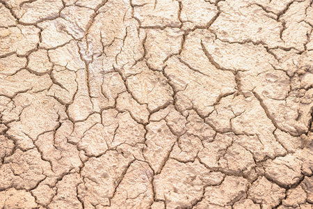 Cracked brown soil, barren wasteland surface natural background with deep focusの写真素材