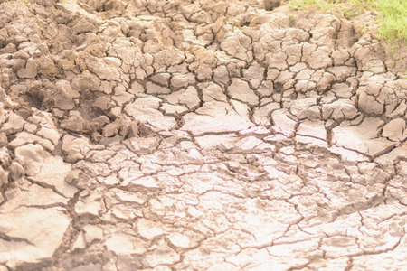 Cracked brown soil, barren wasteland surface natural background with deep focusの写真素材