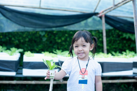 Girl's hand holds a white hydroponic pot with vegetable seedlings growing on a sponge. Growing...