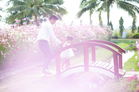 Little girl with her father on nature background A back view of the Father in Heaven concept. Father holds daughter's hand as she walks.の写真素材