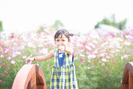 happy woman standing on wooden bridge with yellow cosmos flower fieldの写真素材