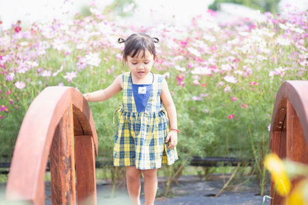 happy woman standing on wooden bridge with yellow cosmos flower field