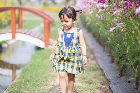 happy woman standing on wooden bridge with yellow cosmos flower fieldの写真素材