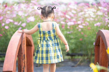 happy woman standing on wooden bridge with yellow cosmos flower fieldの写真素材