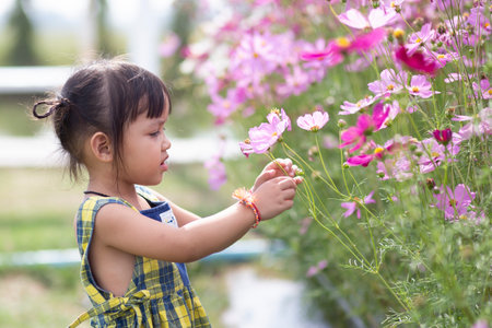 Female hands touch flowers on background with beautiful flowers and green leaves in the garden. Women's hands touch and enjoy the beauty of a natural Asian flower garden.の写真素材
