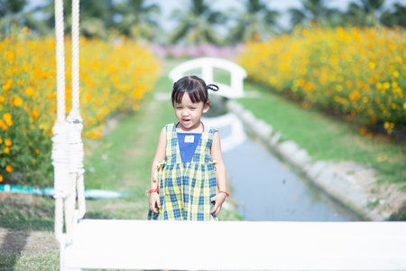 A young woman sits on a swing and admires the breathtaking view of beautiful nature.の写真素材
