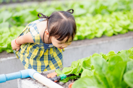 Cute little kindergarten child growing fresh salad in spring A little boy is happy with gardening. Children help with vegetable gardening in the house.の写真素材