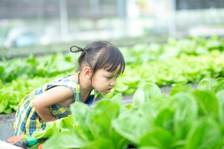 Cute little kindergarten child growing fresh salad in spring A little boy is happy with gardening. Children help with vegetable gardening in the house.の写真素材