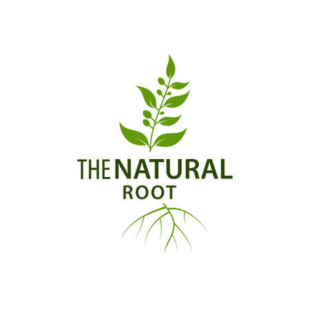 Leaf root logo natural tree template vector illustration designのイラスト素材