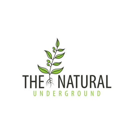 Graphic tree logo template with stylized leaves growing from, vector illustration. This type of tree logo is extended with the concept of tree, environment, rootsのイラスト素材