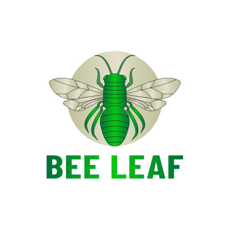 Green abstract bee logo outline in circle, simple and modernのイラスト素材