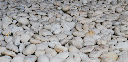 White stones texture garden decor